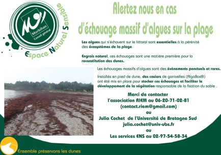 Affiche-alerte-échouage-w