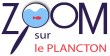 Zoom-sur-le-plancton