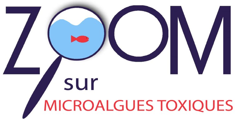 zoom-sur-microalgues-toxiques