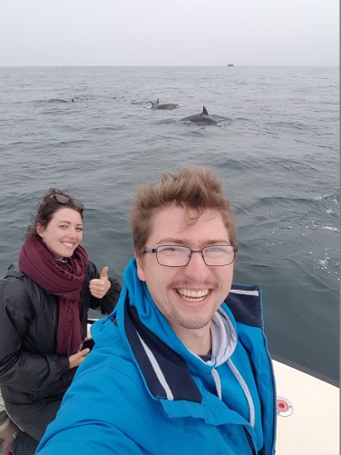 observation-grand-dauphin